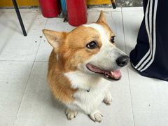 -小梁哥云吞面(黄贝岭店)