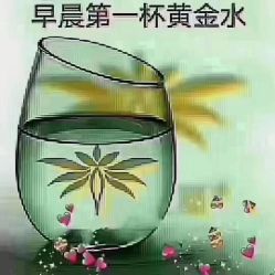-香薇妮丝女子减肥院