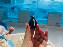 -帝企鹅自助餐厅•儿童岛•真企鹅(长隆企鹅酒店)