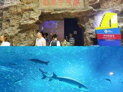 -北京海洋馆