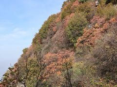 -秦岭终南山世界地质公园翠华山景区