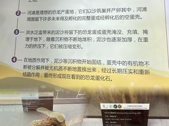 -中国西峡恐龙遗迹园