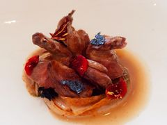 新版本加香料的鸽子-Jean Georges