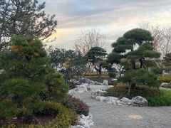 -上海滨江森林公园