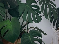 -AHAVA·Fang Baking Studio
