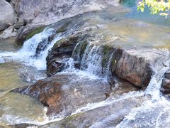 -广州白江湖森林公园