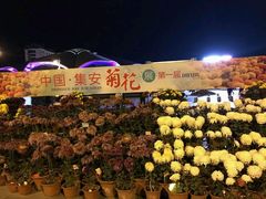 -朝族高丽火盆