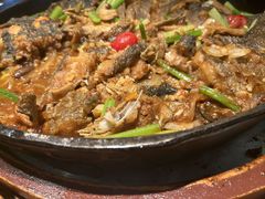 -老板恋上鱼(荣盛广场店)