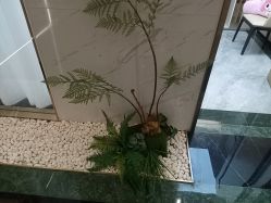 -铂诗玥医美