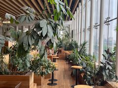 -Seesaw Coffee(朝阳大悦城店)