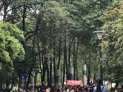 -沙河三洞古桥公园