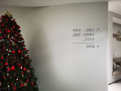-纯粹医美
