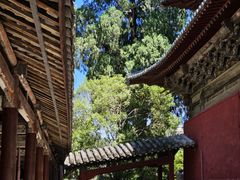 -报恩寺(平武县)