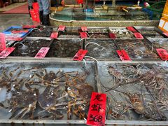 -湛江渔港·大排档(乐园路总店)