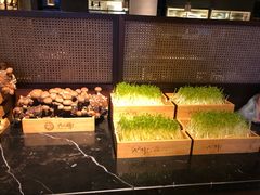 -大头椰·椰子鸡火锅(新梦店)