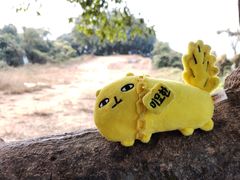 -黄埔油麻山森林公园