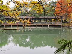 -东湖落雁景区