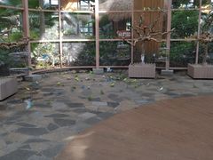 -南宫五洲植物乐园