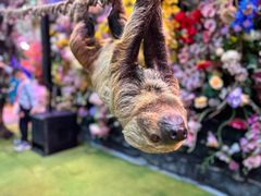-正佳雨林生态植物园