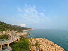 -广东惠东海龟国家级自然保护区