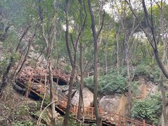 -大岭沟猕猴桃谷风景区