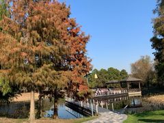 -同里国家湿地公园
