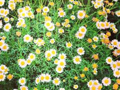 -南通洲际绿博园