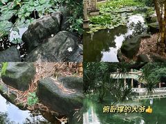 -晓港公园