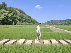 -南泥湾风景区