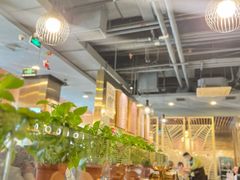 -烹然四季椰子鸡火锅(团结湖总店)
