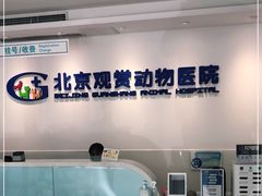 -北京观赏动物医院·24小时大型综合·猫专科·异宠专科