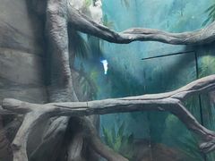 -福州罗源湾海洋世界旅游区