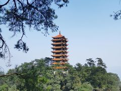 -缙云山景区