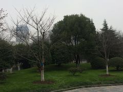 -堤角公园