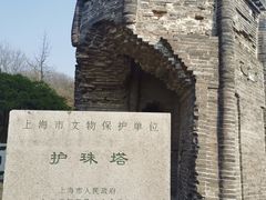 -上海佘山国家森林公园天马山园