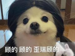 -张杨烤菜(渭南总店)