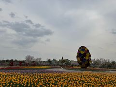 -南通鲜花小镇
