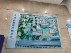 -首都医科大学附属北京儿童医院