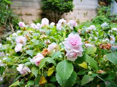 -厦门良筑精品酒店(厦门中山路店)