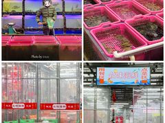 -众味海鲜大排档·活海鲜·潮汕味(南澳店)