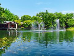 -上海共青森林公园