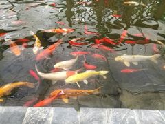 -汤山翠谷生态餐厅