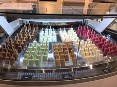 冰棒-Patagonia Chocolates(皇后镇店)