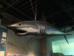 -西海国立公园九十九岛水族馆