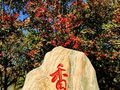 -香山公园-东宫门售票处