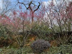 -杭州半山国家森林公园