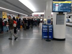 -约翰·菲茨杰拉德·肯尼迪国际机场