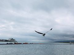 -青海湖二郎剑景区