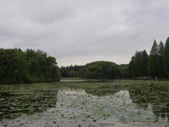 -艾溪湖湿地公园