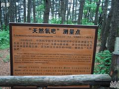 -沂蒙山旅游区云蒙景区(蒙山国家森林公园)